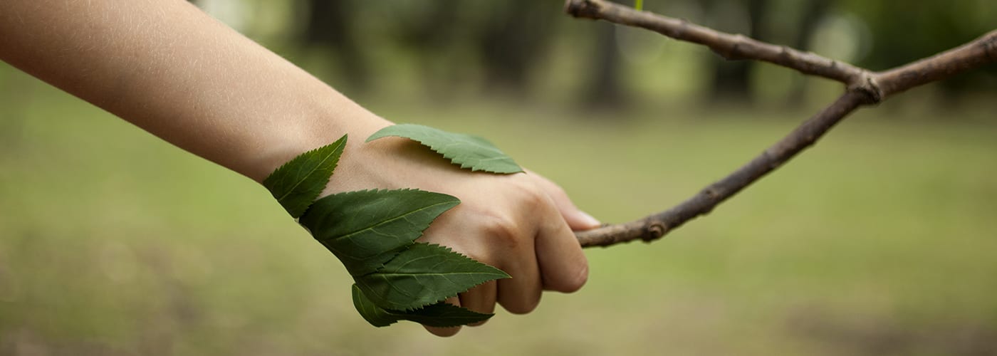 How Nature Affects Your Wellbeing